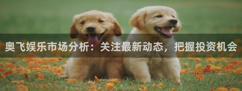 杏宇：奥飞娱乐市场分析：关注最新动态，把握投资机会